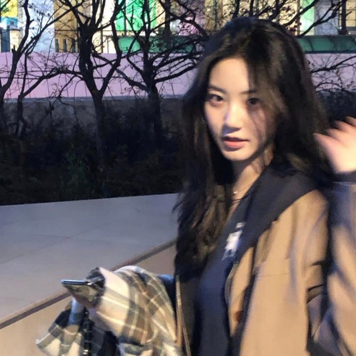 在阳光下腐烂 在线观看