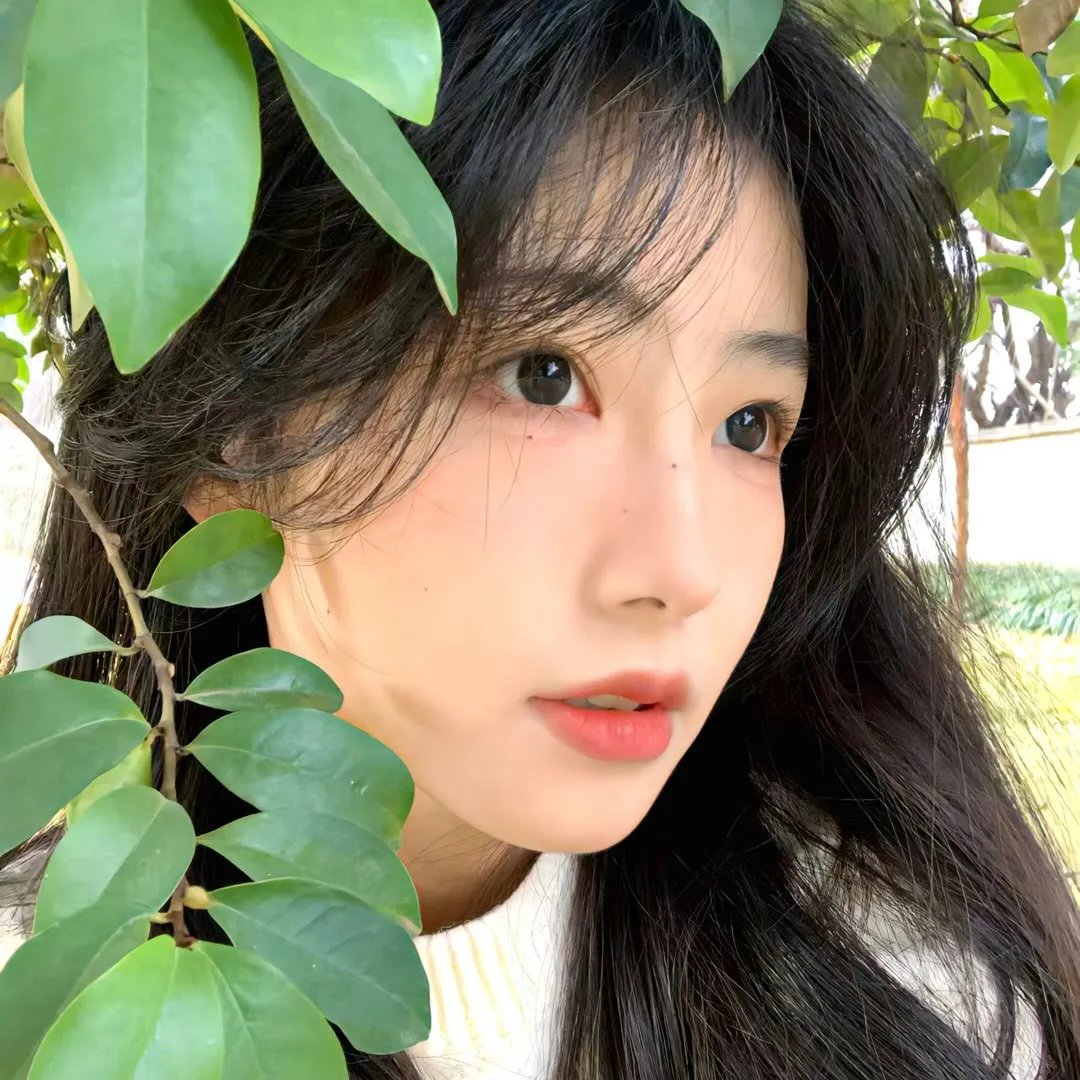 大观园 在线观看